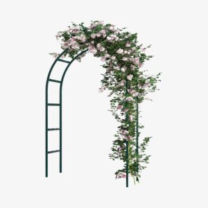 RUBFAC Metal Garden Arch
